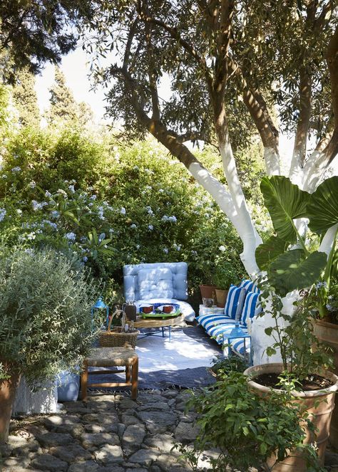 White Agapanthus, Greek Garden, Terrace Garden Ideas, Small City Garden, Brick Paving, London Garden, Mediterranean Garden, Terrace Design, City Garden