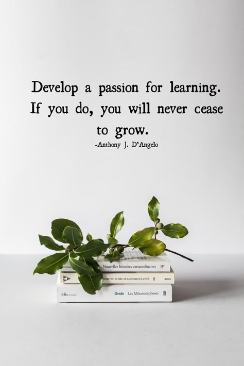 Develop a Passion for Learning! Quotes About Learning New Skills, Learning New Things Quotes, Portfolio Quotes, Quotes About Studying, Never Stop Learning Quotes, Learning Quotes Inspirational, Skills Quote, Growing Quotes, Self Respect Quotes