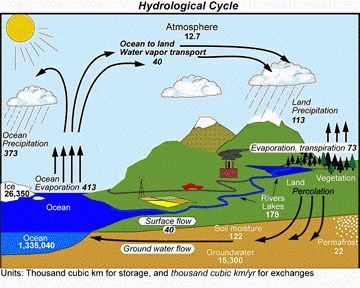 Water Hydrosphere Drawing, Weather Quiz, Science Flashcards, Water Cycle Diagram, Hydrological Cycle, Water Cycle Worksheet, Cycle Drawing, Weather Lessons, The Water Cycle