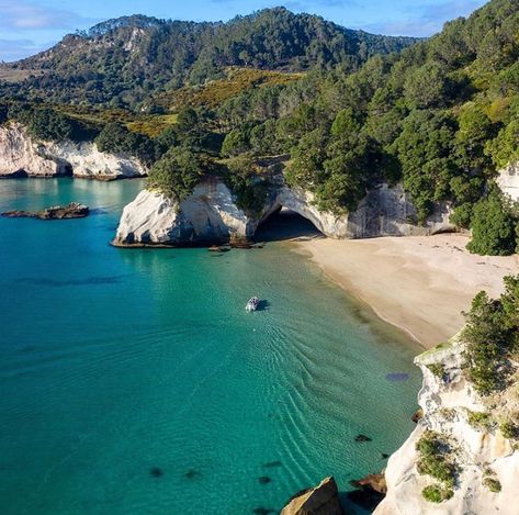 Cathedral Cove Marine Reserve - Te Whanganui-A-Hei Marine Reserve - New Zealand Cathedral Cove New Zealand, Cathedral Cove, New Zealand Landscape, Dream Trip, Summer 24, South Pacific, Filming Locations, Travel Goals, Nature Aesthetic