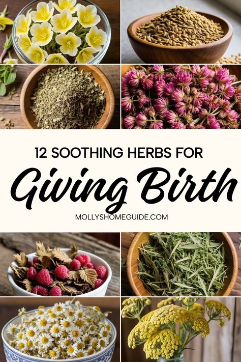 Natural Delivery Tips, Herbs Safe For Pregnancy, Herbs For Postpartum, Herbs To Avoid During Pregnancy, Herbs For Pregnancy, Natural Ways To Induce Labor, Herbs For Women, Pregnancy Herbs, Ways To Induce Labor