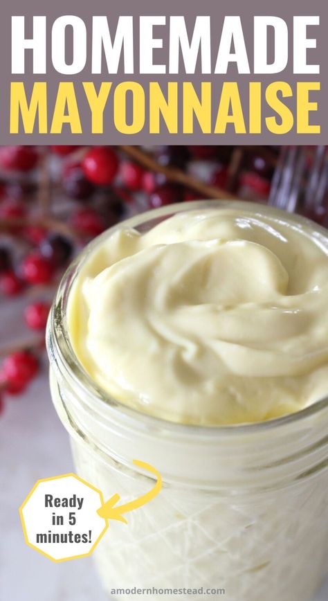 Paleo Mayo Recipe, Paleo Mayonnaise Recipe, Homemade Mayo Recipe, Paleo Mayo, Paleo Mayonnaise, Paleo For Beginners, Mayo Recipe, Best Paleo Recipes, Easy Whole 30 Recipes