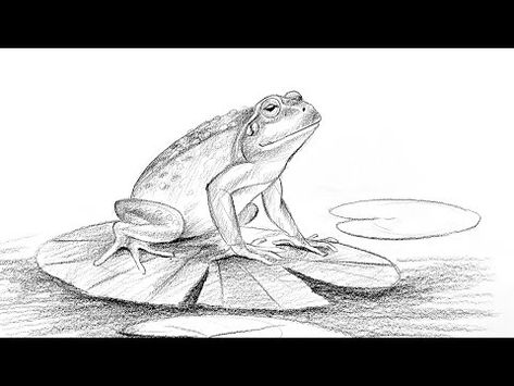 How to draw a frog sitting on leaf - YouTube Lotus Leaf Drawing, Draw Frog, Draw A Frog, Frog Sitting, Leaf Drawing, Lotus Leaves, Lotus Leaf, A Frog, Frogs