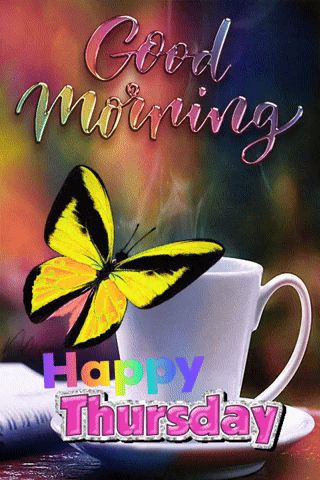 Good Thursday Morning GIF - Good thursday morning - Discover & Share GIFs Thursday Gif, Good Thursday Morning, Thursday Morning Quotes, Happy Thursday Morning, Good Morning Happy Thursday, Good Thursday, Happy Day Quotes, Good Morning Thursday, Thursday Quotes