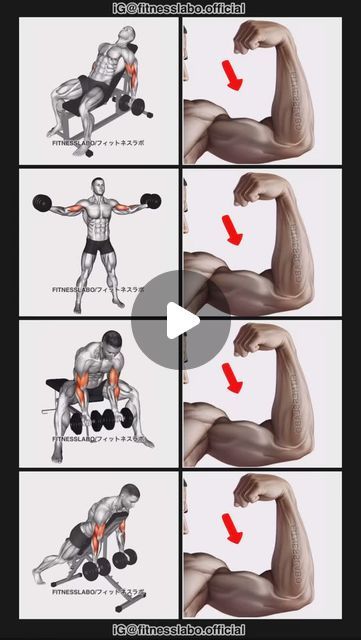 𝗙𝗜𝗧𝗡𝗘𝗦𝗦𝗟𝗔𝗕𝗢 on Instagram: "✅ Biceps Workout using Dumbbells 

① Incline Curl
② High Curl
③ Double Concentration Curl
④ Prone Curl
3 sets 12 reps 

#fitness
#gym
#exercise 
#workout
#workoutroutine 
#exercisetips 
#fitnesstips 
#bodybuilding 
#biceps 
#armworkout" Concentration Curls, Biceps Workout, Gym Exercise, Arm Workout, Fitness Gym, Fitness Tips, Workout Routine, Bodybuilding, Gym