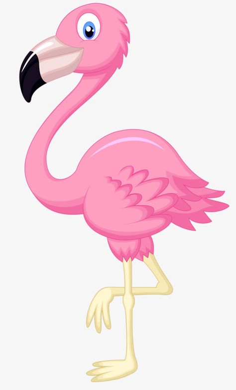 Fern Pillow, Iphone Wallpaper Aesthetic, Hawaiian Birthday Party, Flamingo Theme, Fondant Animals, Crazy Bird, Wallpaper Iphone Wallpaper, Pink Watercolor Flower, Flamingo Art