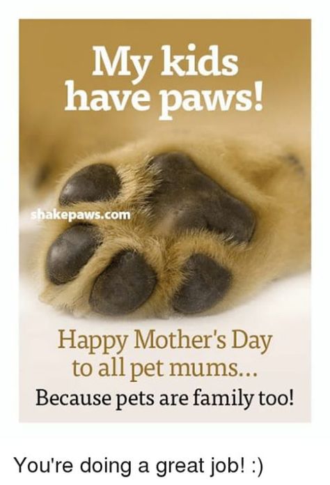 Happy Mother's Day to all Mum's and Pet Mum's out there! Have a wonderful day! Happy Mothers Day Card, Dog Mothers Day, Cute Mothers Day Gifts, Happy Mother's Day Card, Fur Mom, Pet Mom, Holiday Quotes, Mothers Day Quotes, Happy Mother