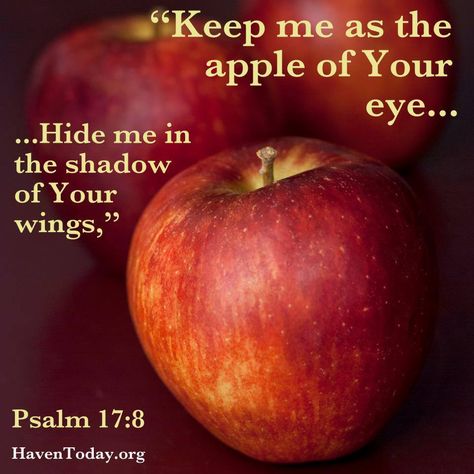 Apple of God's Eye Apple Of My Eye Quotes, Gods Eye Craft, Apple Of Gods Eye, God's Eye Craft, Apple Quotes, Psalm 17, Happy Sabbath Images, Galatians 5 22 23, God's Eye