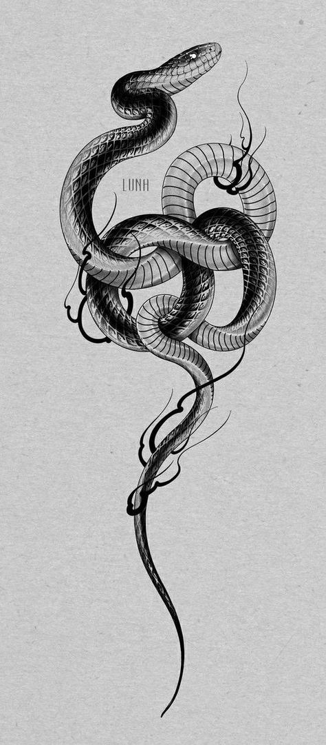 Tattoo Design Snake, Black Snake Tattoo, Snake Sketch, Tattoo Snake, Serpent Tattoo, Snake Tattoo Design, Elbow Tattoos, Snake Art, Greek Tattoos