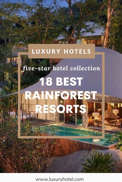 Lush green mile high trees, rushing waterfalls, and echoing cries of the wild are just a few of the wonders you can experience at these 18 rainforest resorts all over the world. Visit our website to find the best luxurious vacations & jungle retreats. #luxuryhotel #luxuryvilla #luxuryresort #luxurylodge #rainforest #rainforestresort #australia #belize #costarica #treehouse " Jungle Resort Design, Jungle Hotel, Brazil Rainforest, Jungle Retreat, Mexico Resort, Resort Ideas, Unique Resorts, Costa Rica Luxury, Forest Resort