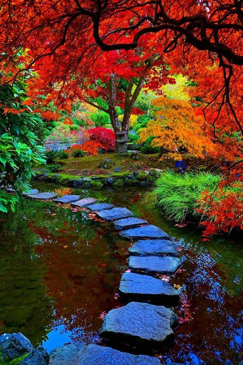 The Butchart Gardens in November with vibrant red and orange foliage Queens Garden Party, Butchart Gardens, Luxury Travel Destinations, City Garden, Fall Foliage, In November, British Columbia, Luxury Travel, Garden Party