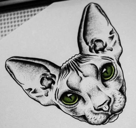 Sphynx Cat Drawing Tattoo, Cat Drawing Tattoo, Sphynx Cat Drawing, Sphinx Cat Tattoo, Sphynx Tattoo, Chest Tattoo Designs Female, Sphynx Cat Tattoo, Sphinx Tattoo, Cat Face Tattoos