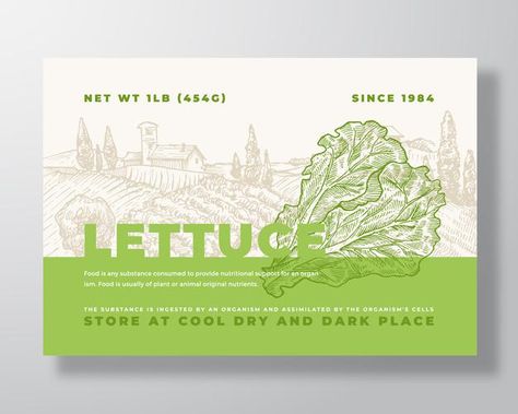 Lettuce Packaging, Meat Box, Tea Packaging Design, Lettering Guide, Salad Leaves, Landscape Background, Tea Packaging, Packing Design, Abstract Vector