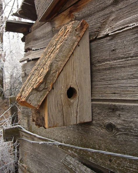 Backyard Birds Sanctuary, Nest Boxes, Homemade Bird Houses, Bird Feeding Station, Bird Houses Ideas Diy, Beautiful Birdhouses, Birdhouses Rustic, Carpentry And Joinery, Garden Birdhouses