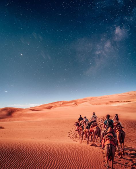 Thar Desert Thar Desert Photography, Bhagwan Ram, Indian Palace, Autumn Sage, Thar Desert, Ram Ji, Shadow Images, Shri Ram Photo, Ram Photos