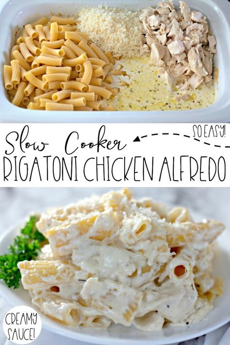 Slow Cooker Rigatoni, Crock Pot Chicken Alfredo, Creamy Sauce For Chicken, Crockpot Chicken Alfredo, Slow Cooker Pasta Recipes, Rigatoni Recipes, Pasta Creamy, Recipe Slow Cooker, Chicken Alfredo Recipes