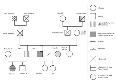 This is the family genogram example. A family genogram, as shown graphically below, is a typical approach for identifying the core/primary members of the family and the roles they perform in relation to one another. The traditional family genogram only covers biological families, however in rare cases, adopted or surrogate children are also included. Click here to get this family genogram example template and create your own one. Genogram Family Tree, Genogram Example, Family Relationship Chart, Family Genogram, Genogram Template, Science Diagrams, What Is Family, Relationship Chart, Family Tree Research