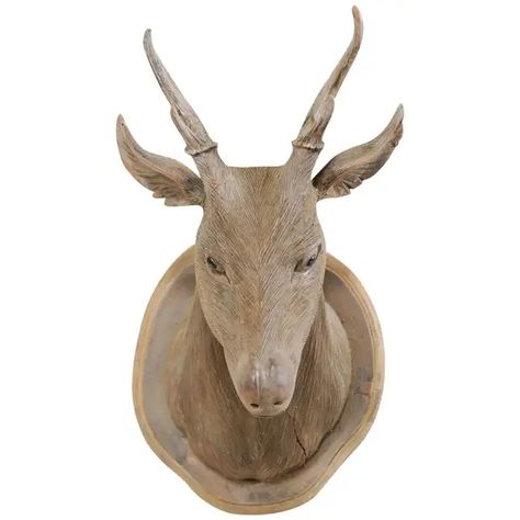 Wood Trophy Animal Heads - 15 For Sale on 1stDibs | large faux animal heads Wood Trophy, Wood Trophies, Faux Deer Head, Eyes Looking Down, Faux Animal Head, Taxidermy Deer, Wood Animal, Faux Taxidermy, Deer Head