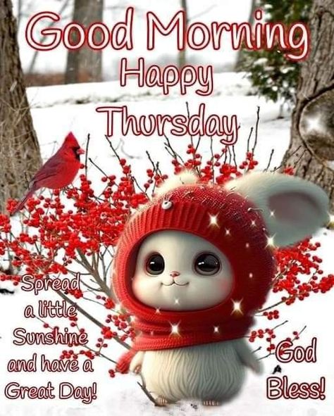 Happy Thursday Pictures, Good Morning Dog, Beautiful Day Quotes, Thursday Pictures, Happy Thursday Images, Thursday Images, Thursday Greetings, Good Morning Christmas, Good Morning Winter