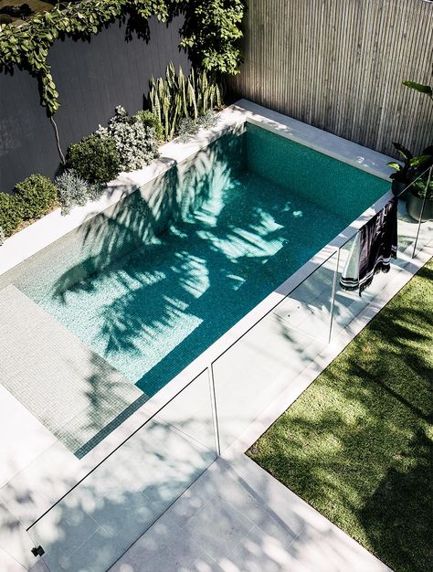 Yanko - Harrisons Landscaping Garden Pool Design, Pool Plants, Outdoor Pool Area, Small Swimming Pools, Pool Landscape Design, Beach Bungalow, Small Pool Design, Backyard Pool Landscaping, Modern Pools