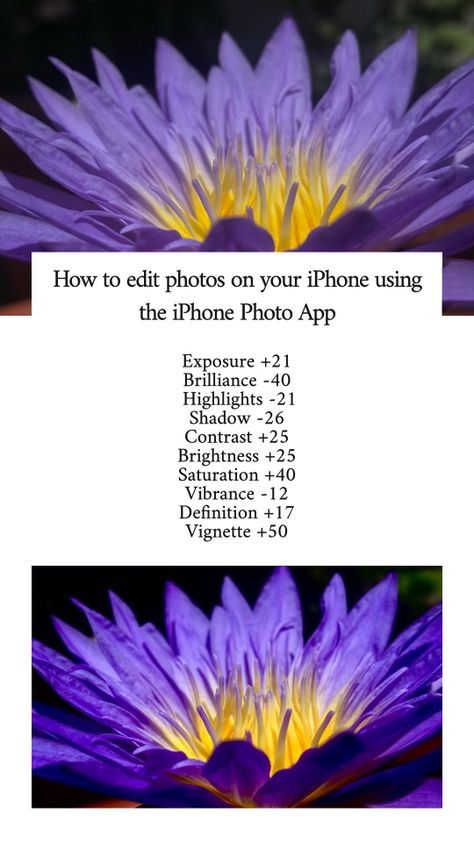 The edits used in this picture are just to enhance the natural beauty of the flower. Follow to learn how to edit photographs easily! #photography #iphonephotography #lightroom #floral #waterlily #gardening #flowers #edit #learn #photoshop #nature #photooftheday #photoshootideas Flower Photo Edit Iphone, Flower Photo Editing, Ios Photo App, Flowers Edit, Ios Photos, Edit Pictures, Photography Editing Apps, Phone Photo, Nature Photography Flowers