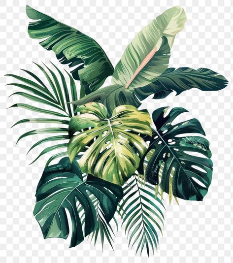 Tropical Trees Illustration, Leaves Botanical Illustration, Tropical Leaves Illustration, Plant Png, Leaves Vintage, Vintage Tropical, Tree Png, Watercolor Fruit, Nature Green