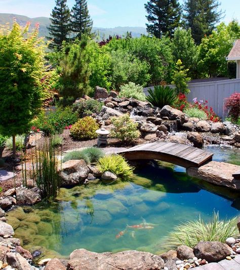 Natural Inspiration: Koi Pond Design Ideas For A Rich And Tranquil Home Landscape! Kolam Air, Kolam Koi, Fish Pond Gardens, Small Japanese Garden, Taman Air, Garden Pond Design, Beautiful Home Gardens, Asian Landscape, Pond Water Features