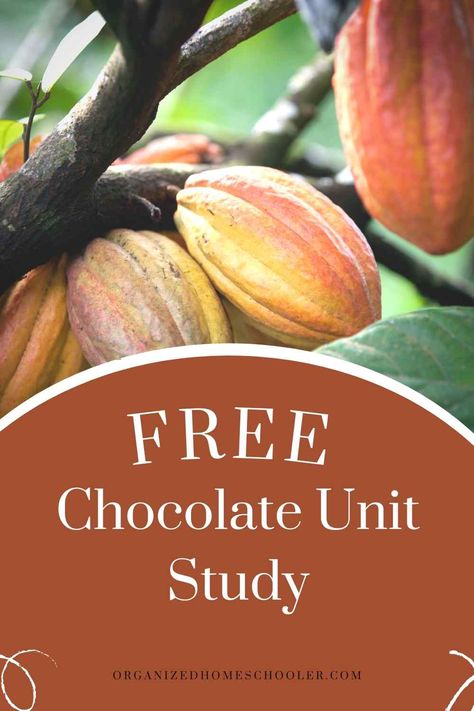 free chocolate unit study written under cacao pods Chocolate Unit Study, Unit Studies For Middle School, Book Unit Studies, Middle School Unit Studies, Elementary Unit Studies, Unit Studies Homeschool Elementary, Free Unit Studies Homeschool, Chocolate Activities For Kids, Africa Unit Study