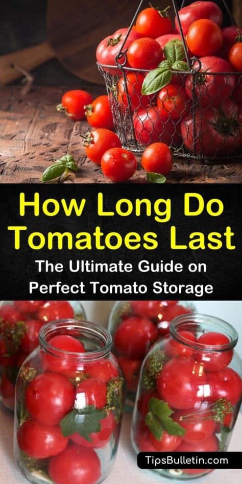 How long do tomatoes last? Tomatoes only last a few days on the counter or in the fridge. Learn how to freeze, can, or dry tomatoes for long term storage. Store Tomatoes In The Fridge, Tomato Storage Ideas, How To Freeze Fresh Tomatoes, How To Store Tomatoes In The Fridge, Canning Citrus, How To Store Cherries, Tomato Storage, How To Store Grapes, Freezing Cherry Tomatoes