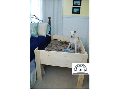 Wood Raised Elevated Dog Bed Platform with Raised Sides Daybed Dog Bed Platform, Diy Raised Dog Bed, Diy Elevated Dog Bed, Wood Dog Bed, Raised Dog Beds, Wooden Dog Bed, Pallet Dog Beds, Elevated Dog Bed, Side Bed