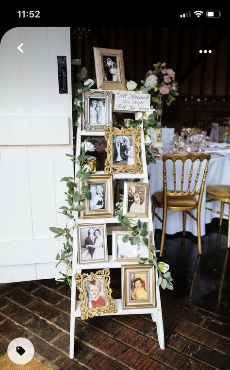 Bridal Shower Photo Display, Photo Ladder, Wedding Ladder, Wedding Entry Table, Jewel Tone Wedding Theme, Marquee Wedding Decoration, Outdoor Birthday Party Decorations, Ladder Wedding, Wedding Seating Chart Display