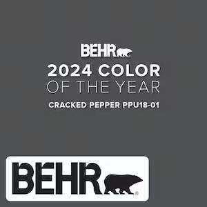 PPU18-01-Cracked-Pepper Interior Paint Behr, Cracked Pepper Behr, Home Depot Paint Colors, 2024 Color Trends, Trending Paint Colors, 2024 Color, Cracked Pepper, Bathroom Update, Main Bathroom