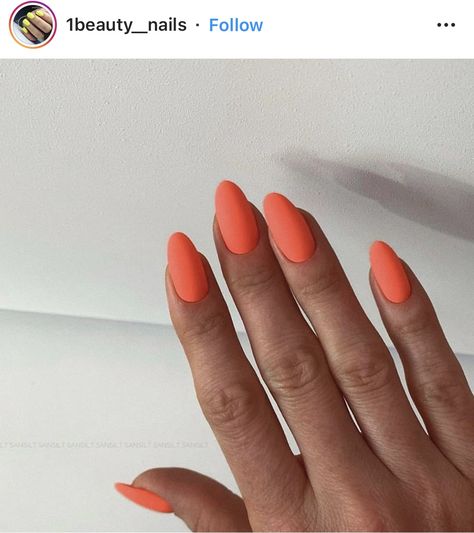 Matte Neon Orange Nails Neon Orange Matte Nails, Matt Neon Nails, Matte Coral Nails, Orange Nails Matte, Matte Orange Nail, Orange Matte Nails, Light Orange Nails, Nail Polish Wall, Matted Nails