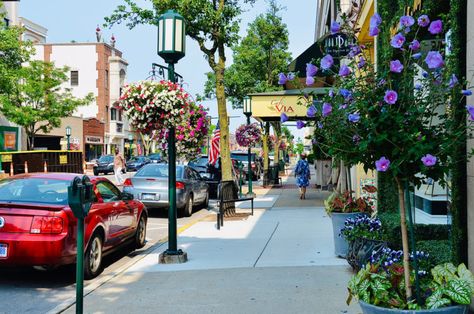 The 20 Safest Places to Live in Michigan Birmingham Michigan, Lake Village, Iron Mountain, Detroit Area, Places To Live, Bad News, Safe Place, Main Street, Small Towns