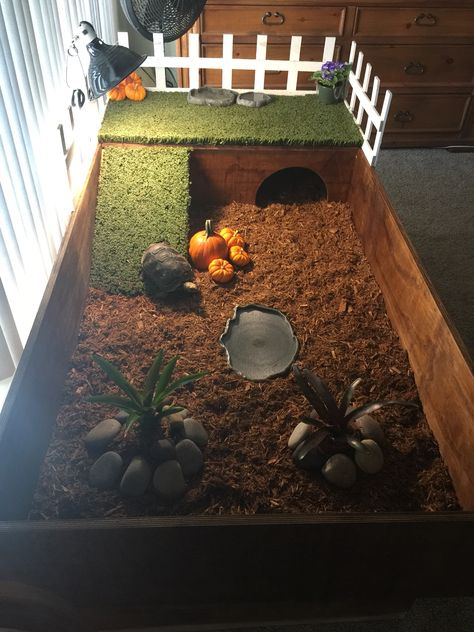 Tortoise Indoor Habitat, Homemade Tortoise Enclosure, Diy Turtle House, Turtle Indoor Habitat, Baby Tortoise Habitat Indoor, Tortoise Terrarium Indoor, Indoor Turtle Habitat, Pet Tortoise Habitat Indoor, Turtle House Indoor