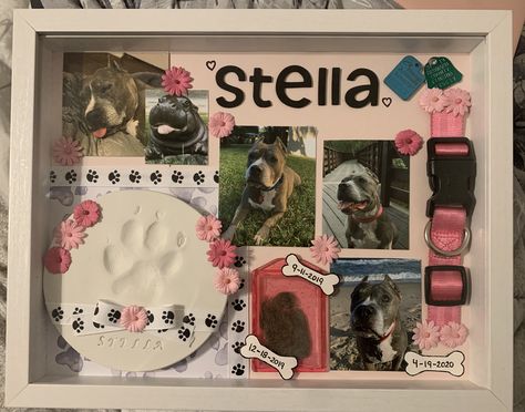 Shadowbox For Dog Pet Memorials, Pet Photo Album Ideas, Cat Shadow Box Ideas, Pet Memorial Keepsake, Pet Keepsake Ideas Diy, Pet Shadow Box Ideas, Memory Shadow Box Ideas Diy, Ways To Remember Your Dog, Memorial Dog Ideas