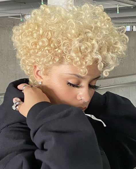 Dyed Natural Hair Short For Black Women, Curly Big Chop Black Women, Curly Pixie Hair Color Ideas, Blonde Natural Hair Short, Layered Curly Pixie Haircut, Colored Big Chop, Short Curly Blonde Wig, Blonde Short Hair On Black Women, Short Curly Blonde Hair Natural Black Women