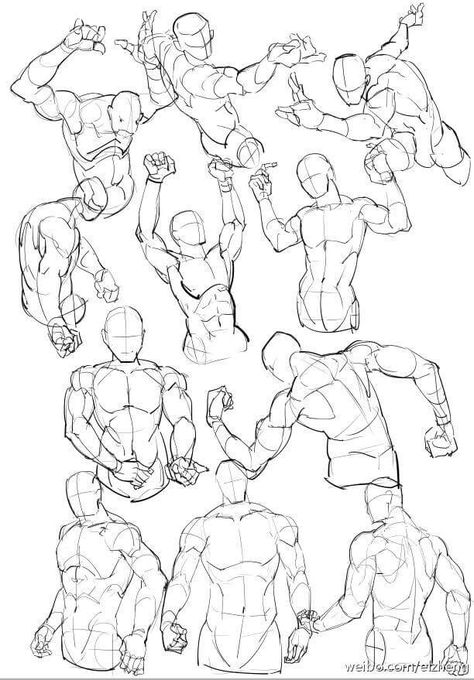 Torso Poses, Human Body Sketch, Torso Drawing, How To Draw People, Male Anatomy, Couple Drawing, Draw People, Human Anatomy Drawing, Human Figure Drawing