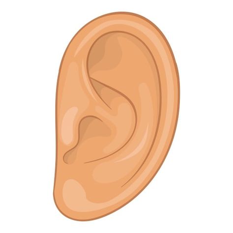 style icons,cartoon icons,ear icons,ear,icon,cartoon,vector,illustration,style,web,design,isolated,white,background,realistic,deaf,health,aid,sound,people,body,part,sense,human,hear,shape,healthy,sensory,music,loss,skin,closeup,concha,dedicine,auricle,silence,biology,darwin,person,audible,test,fragment,sign,deafness,art,head,audio,care,organ,hospital,helix,stereo,people vector,music vector,cartoon vector,human vector,person vector,head vector,web vector,sign vector,health vector Ear Clipart, Ear Illustration, Udl Lesson Plans, Ear Images, Sense Of Hearing, Music Vector, Head Cartoon, Multiplication Word Problems, Human Vector