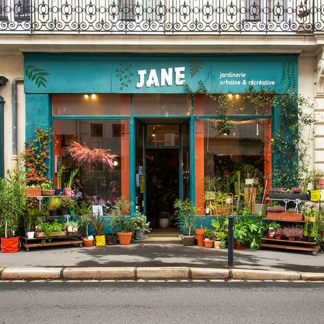 Have a virtual visit of both Jane Jardinerie boutiques in Nantes and Angers in France. Even more than ever: support your local plant shop! Plant Shops, Plant Shopping, Plants At Home, Age Of Enlightenment, Plant Shop, Shop Layout, Garden Nursery, Colorful Plants, Buy Plants