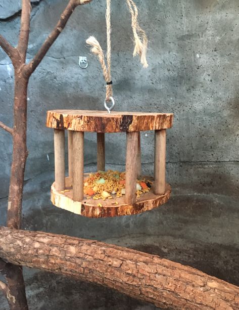 Enrichment Projects, Wood Bird Feeder, Wooden Bird Feeders, Bird Houses Ideas Diy, Homemade Bird Feeders, Diy Cat Tree, Bird House Feeder, Diy Bird Feeder, Diy Birds