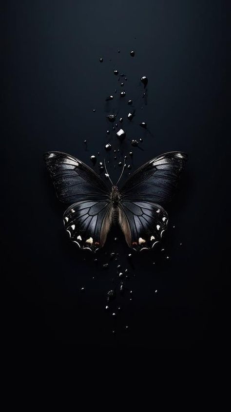 Wallpaper Backgrounds In Black, Black Designs Wallpaper, Butterfly Wallpaper Black Background, Dark Cute Wallpaper Backgrounds, Black Butterfly Wallpaper Iphone, Black Image Background, Cute Simple Wallpapers Black, Butterfly Wallpaper Black, Wallpaper Ideas Black