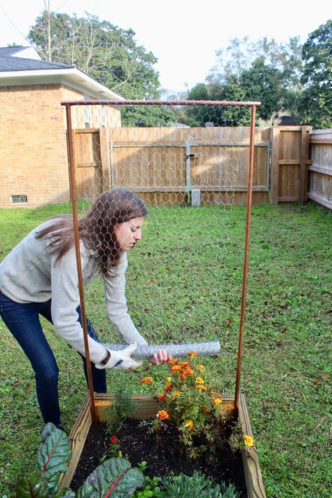 DIY: How to Make a Garden Trellis Using Chicken Wire Chicken Wire For Garden, Chicken Wire In Garden, Cucumber Garden Trellis Diy, Uses For Chicken Wire, Chicken Wire Trellis Diy, Chicken Wire Garden Ideas, Chicken Wire Planters Diy, Chicken Wire Vegetable Garden, Chicken Wire Garden Trellis