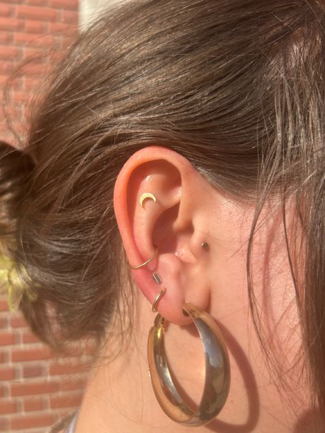 earrings conch helix tragus lobes triple solid gold Flat And Conch Piercings, Conch And Flat Piercing, Conch And Tragus Piercing, Piercing Stacks, Triple Conch, Flat Helix Piercing, Triple Conch Piercing, Piercing Placement, Triple Lobe Piercing