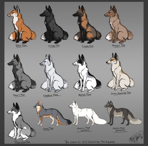 fox color chart Fox Drawing, Fox Pictures, Canine Art, Pet Fox, Pretty Animals, Animal Facts, Fox Art, Wild Dogs, Animal Sketches