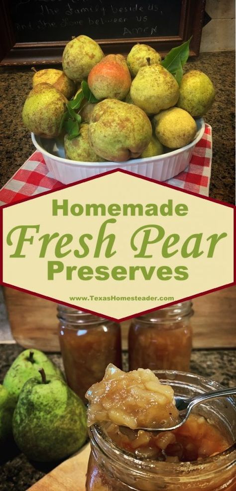 Homemade Pear Preserves, Recipe For Pear Preserves, How To Make Pear Preserves, Pear Preserves Recipe Canning, Preserving Pears Ideas, Pear Sauce Recipe Canning, Cooking Pears Recipes, Pear Perserves Recipes Canning 101, Pear Relish Recipe