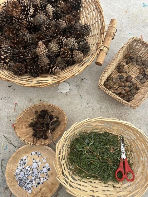 Forest School Fun, Ideas and Activities | Hedgehog 🦔 making | Facebook Christmas Forest School, School Fun Ideas, Hedgehog Activities, Diy Woodland, Forest School Activities, Christmas Forest, Forest School, Winter Forest, Fun Ideas