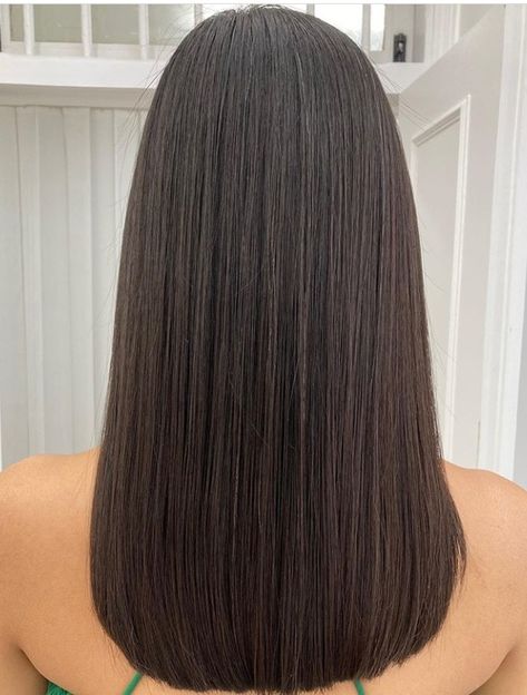 Straight Hair One Length, Back Length Haircut, Medium U Shaped Hair, Simple Straight Haircut, U Shaped Haircut Long, Medium Long Straight Haircut, Medium One Length Haircut, Haircut U Shape, U Shape Haircut Medium