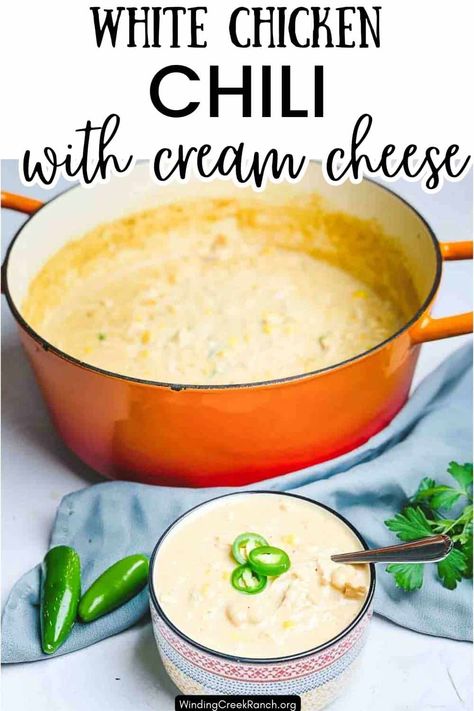 White Chicken Chili With Cream Cheese White Chicken Chili Cream Cheese, Chicken Chili With Cream Cheese, Chili With Cream Cheese, Easy White Chicken Chili, White Chili Recipe, White Chicken Chili Recipe, White Bean Chicken Chili, White Bean Chili, White Chili