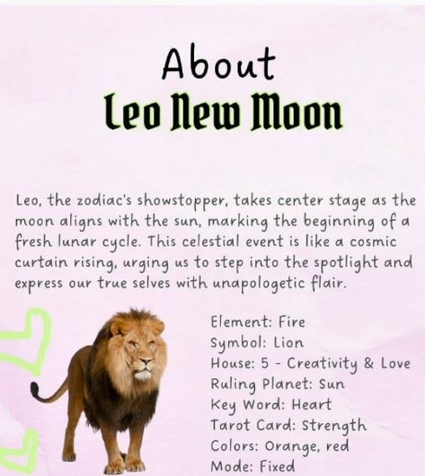 Leo August, New Moon In Leo, Moon In Leo, Lunar Cycle, Magic Spells, New Moon, Moon Phases, Tarot Cards, Astrology